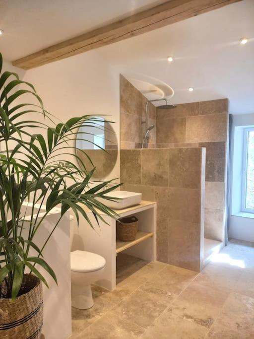 Le Clos Du Rempart - 2 A 4 Pers. Saint-Restitut Ngoại thất bức ảnh